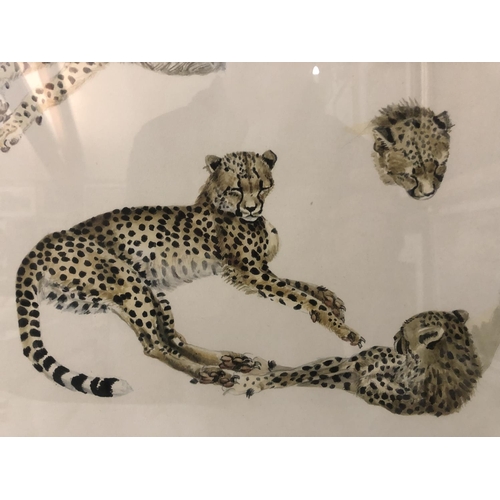 51 - Joy Adamson - (1910-1980) - Cheetahs Resting, limited edition print (214/500), published by The Tyro... 