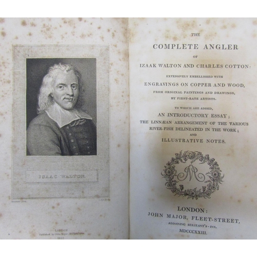 276 - Antiquarian interest - Walton & Cotton The Complete Angler, two volumes, 1823 edition rebound, Rober... 