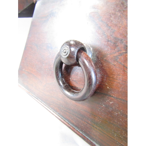 1661 - A large Regency rosewood sarcophagus tea caddy, with a well fitted interior mixing bowl (not origina... 