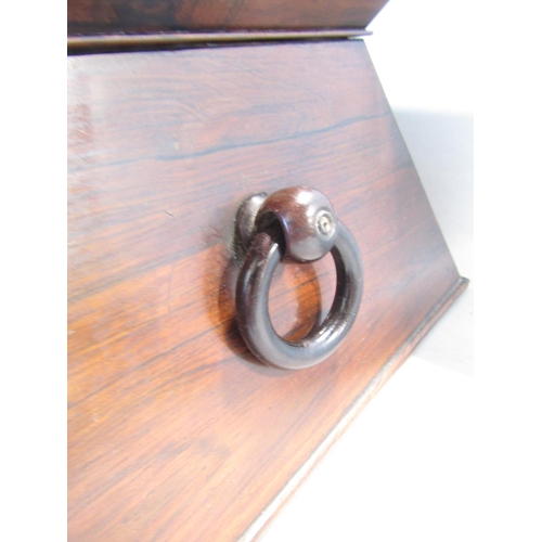 1661 - A large Regency rosewood sarcophagus tea caddy, with a well fitted interior mixing bowl (not origina... 