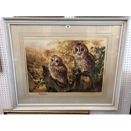26 - Arthur Spencer Roberts (1920-1997) - Barn Owls, colour print, signed and blindstamped below, 42 x 60... 