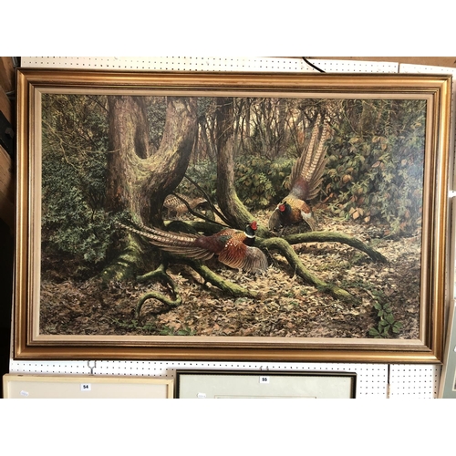 46 - Ken Turner (b.1926) - Three Pheasants in the Woods - Two Males Fighting, acrylic on board, signed lo... 