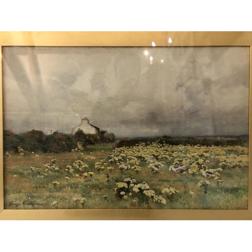 112 - George Cockram (1861-1950) - Geese in The Field, watercolour on paper, signed lower left, 40 x 60 cm... 