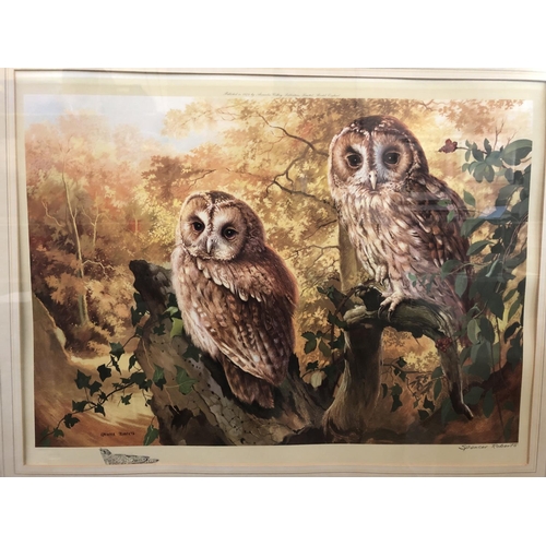 18 - Arthur Spencer Roberts (1920-1997) - Barn Owls, colour print, signed and blindstamped below, 42 x 60... 