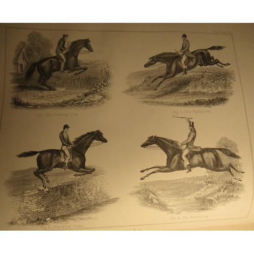 250 - W. J. Miles - Modern Practical Farriery (a complete guide to All That Relates to the Horse) illustra... 