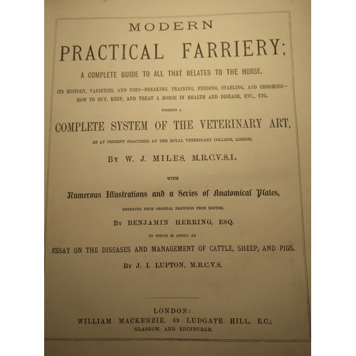 250 - W. J. Miles - Modern Practical Farriery (a complete guide to All That Relates to the Horse) illustra... 