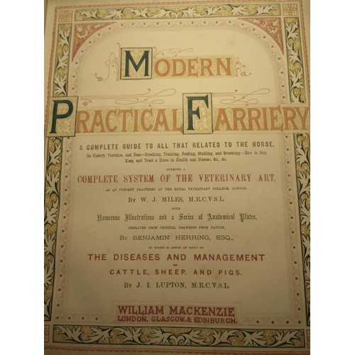 250 - W. J. Miles - Modern Practical Farriery (a complete guide to All That Relates to the Horse) illustra... 