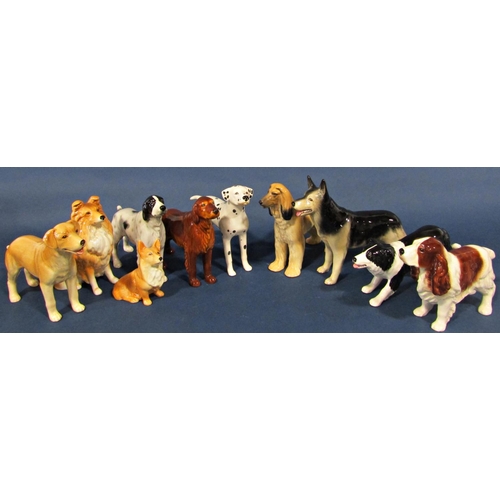 1020 - A large quantity of ceramic dogs by Sylvac, various breeds to include Afghan, Pomeranian, Setters, R... 