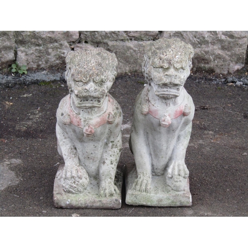 2066 - A pair of small weathered cast composition stone seated dogs of fo/temple lions, 35 cm high