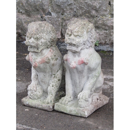 2066 - A pair of small weathered cast composition stone seated dogs of fo/temple lions, 35 cm high