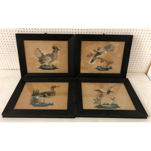 101 - Four Victorian feather and watercolour bird collages, 32 x 39 cm (including frame), framed as a set ... 