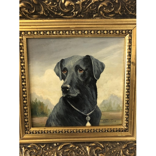 141 - Two 20th century paintings: Portrait of a Dog, indistinctly signed 'J.C.W. Jock'? oil on board 16 x ... 