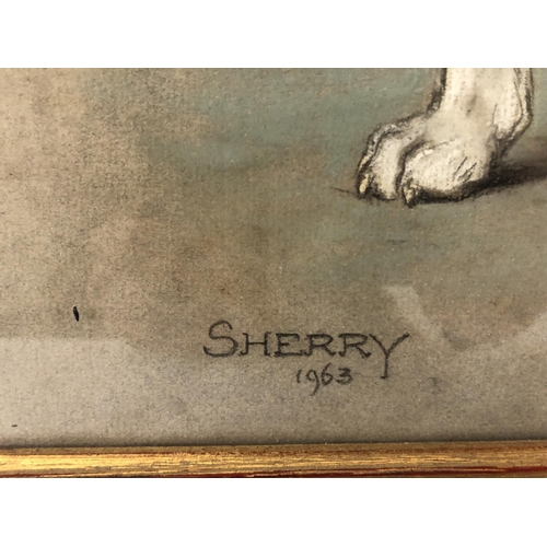 16 - MARJORIE COX (20th century) - 'Sherry', 1963, pastel on paper, signed, titled and dated below, 52 x ... 