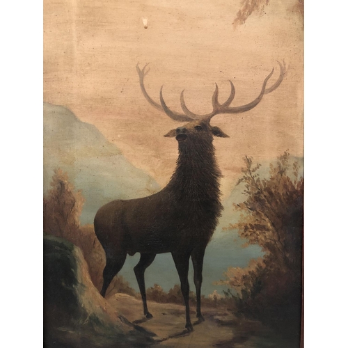 28 - Two Paintings of Stags in the Forest (20th century), oil on canvas, inscribed 'J. W. Parkhill, HMS T... 