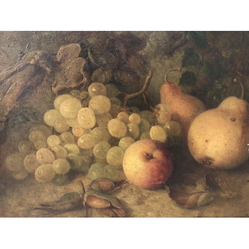 3 - English School, 19th Century - Still life with apples, pears and grapes, indistinctly monogrammed lo... 