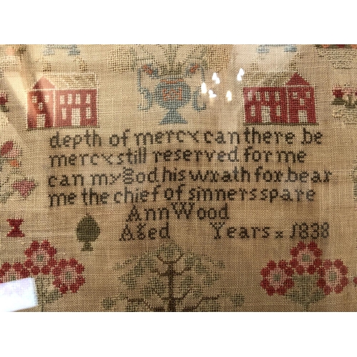 32 - 19TH CENTURY TAPESTRY SAMPLER by Ann Wood, 1838, 45 x 40 cm, framed and glazed