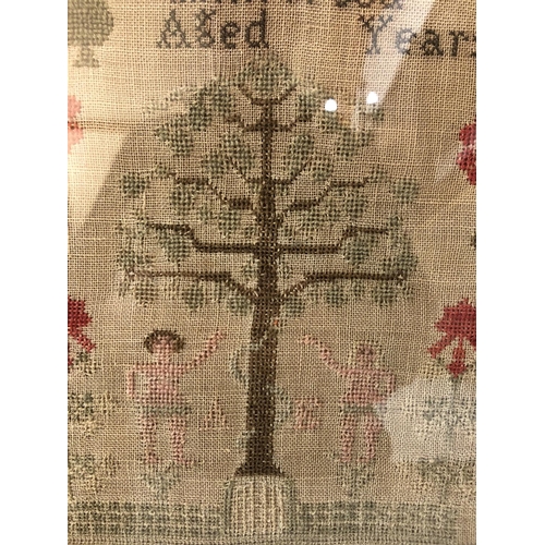 32 - 19TH CENTURY TAPESTRY SAMPLER by Ann Wood, 1838, 45 x 40 cm, framed and glazed