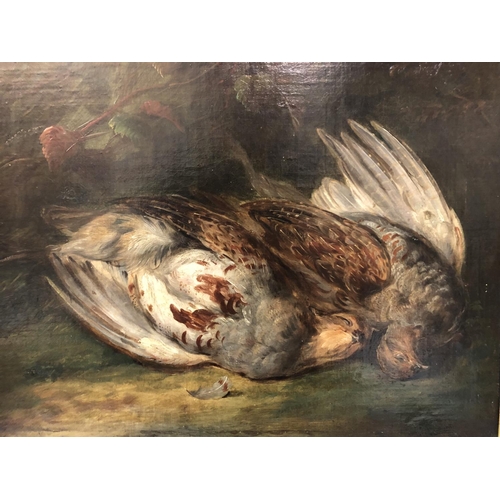 5 - English School, 19th Century - Brace of Pheasant, unsigned, oil on canvas board, 36 x 43.5 cm, frame... 