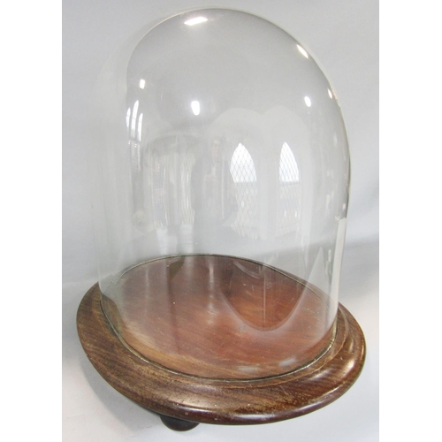 1469 - A Victorian glass display dome set on a mahogany base, 37cm high x 37cm wide x 32cm (Max)