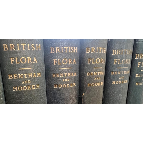 171 - A collection of 19th century Botanical books relating to the British Isles to include Bentham's Brit... 