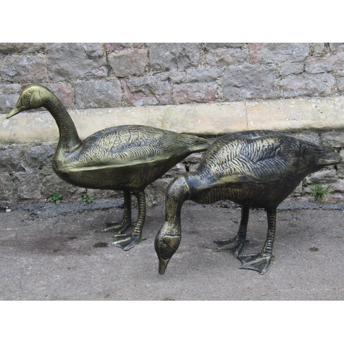 2064A - Two contemporary life size cast metal garden ornaments in the form of geese in varying pose, 62 cm a... 