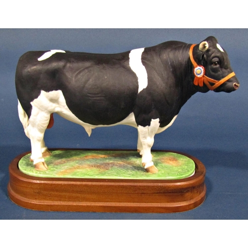 1109 - A Royal Worcester porcelain model of Holstein-Friesian bull, modelled by Doris Linda 36/500, with ce... 