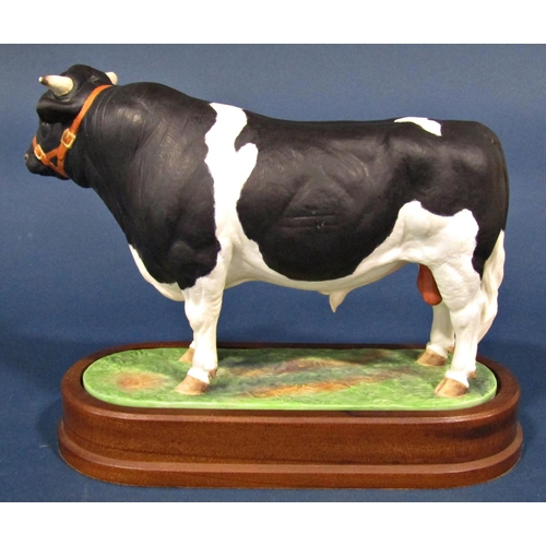 1109 - A Royal Worcester porcelain model of Holstein-Friesian bull, modelled by Doris Linda 36/500, with ce... 