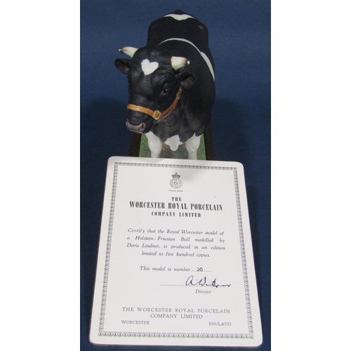 1109 - A Royal Worcester porcelain model of Holstein-Friesian bull, modelled by Doris Linda 36/500, with ce... 