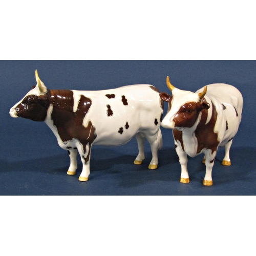 1111 - A pair of Beswick Ayrshire bulls, Champion Whitehill