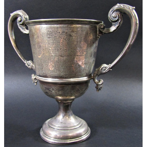 1234 - A silver double handled trophy, Charfield Flower Show 1929 Challenge Cup, 20.5cm tall, 9.9oz approx