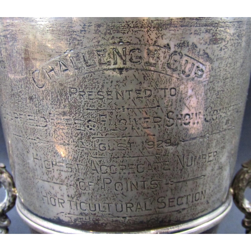 1234 - A silver double handled trophy, Charfield Flower Show 1929 Challenge Cup, 20.5cm tall, 9.9oz approx