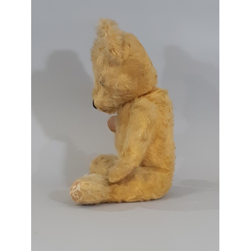 347 - Vintage teddy bear, mid 20th century, with long golden plush, large ears, pronounced muzzle, glass e... 