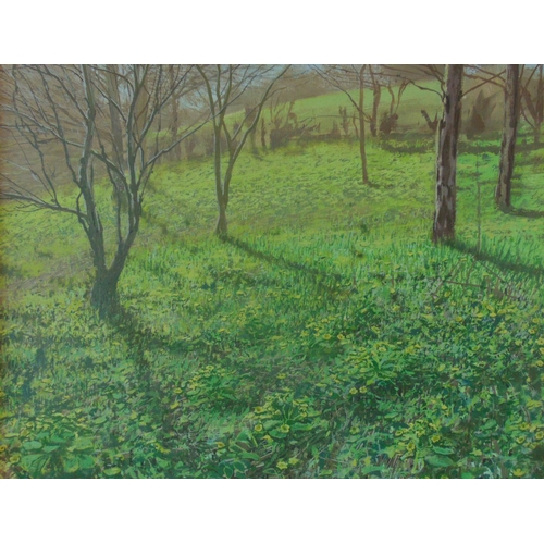 18 - R. Collins (20/21st Century) - Field of Trees, oil on canvas, signed lower right, 50 x 60 cm, framed