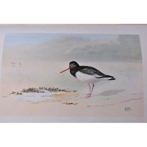 275 - Wildlife Interest - to include British Waders by E C Arnold, A History of Sussex Birds in three volu... 