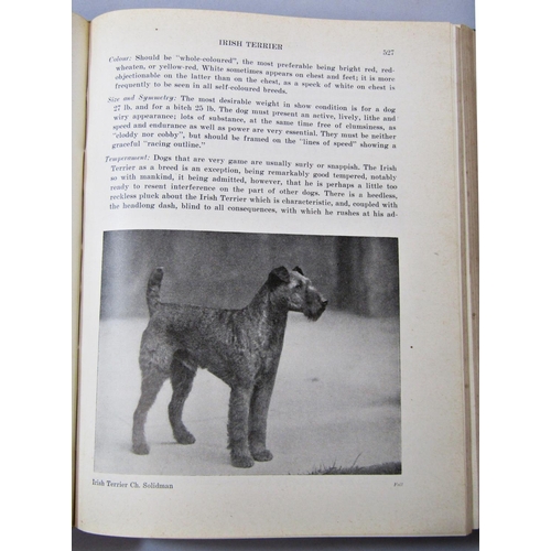 292 - The Life of the Master illustrated by Ian Maclaren, The Book of the Dog, Thoughts on Hunting, illust... 