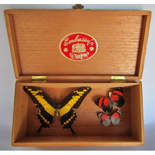 1457 - A Lepidopterist’s collecting kit contained in a vintage C&A shirt box, some mounted butterfly specim... 