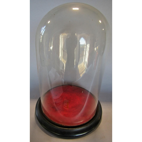 1485 - A Victorian glass display dome and base. 31cm high.