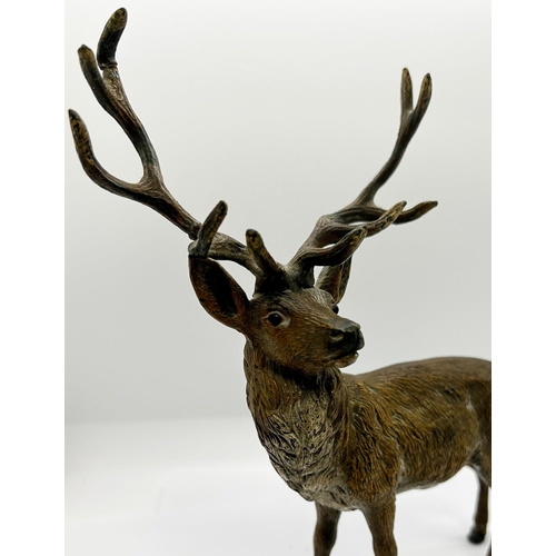 1405 - A spelter figure of a stag with antlers, naturalistically painted together with a small cold cast br... 