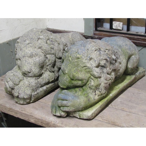 2062 - A pair of weathered cast composition stone garden ornaments in the form of recumbent lions with trac... 