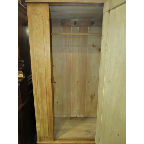 2224 - Victorian stripped pine single wardrobe enclosed by a three quarter length central rectangular panel... 