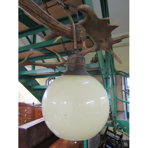 2665 - A pendant ceiling light formed from four stags antlers, circular in shape, hung with four lights