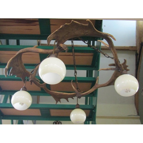 2665 - A pendant ceiling light formed from four stags antlers, circular in shape, hung with four lights