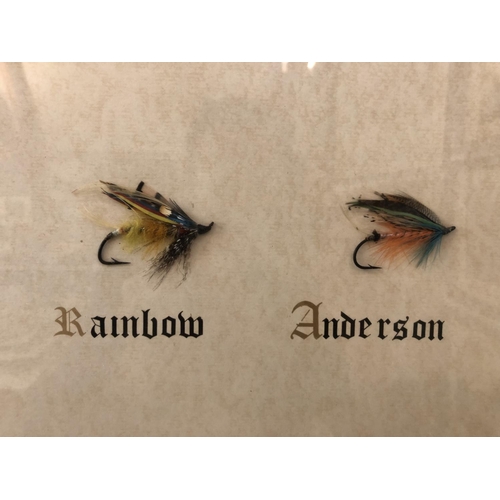 158 - Angling Interest - Two frames containing fishing flies (15 flies in total), 37 x 54 cm, framed and g... 