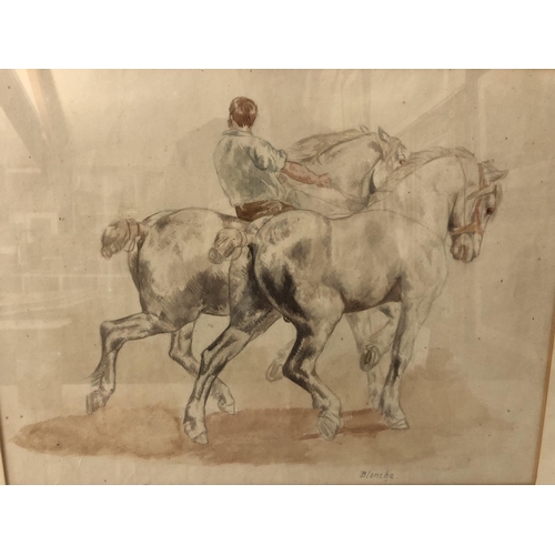 165 - Two 20th Century Studies of Horses, pencil and watercolour on paper, on inscribed 'Blanche' below, 3... 