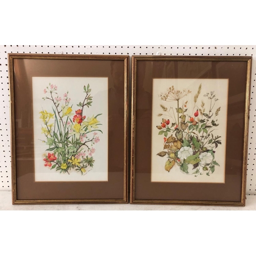 151 - Patience Arnold (1901-1992) - Two Botanical Studies, watercolour on paper, signed below, 33 x 22 cm,... 