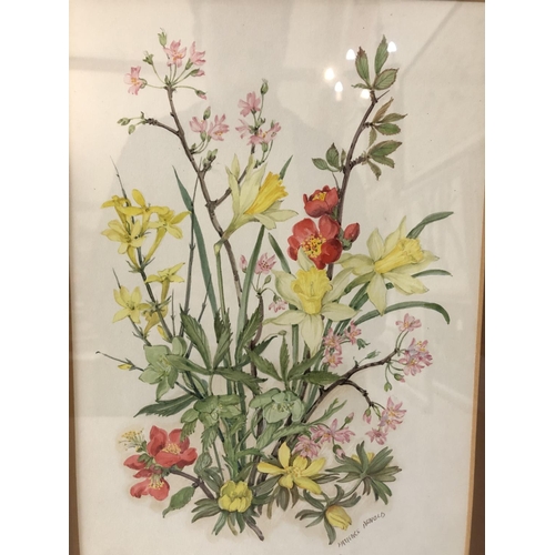 151 - Patience Arnold (1901-1992) - Two Botanical Studies, watercolour on paper, signed below, 33 x 22 cm,... 