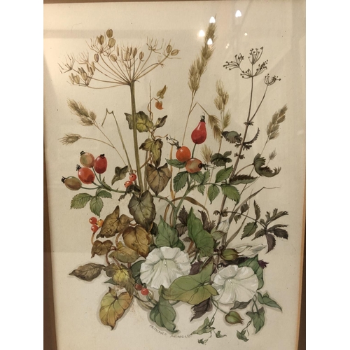 151 - Patience Arnold (1901-1992) - Two Botanical Studies, watercolour on paper, signed below, 33 x 22 cm,... 