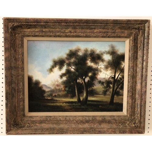 123 - 20th Century Woodland Scene, oil on board, signed indistinctly lower right, 30 x 40 cm, framed