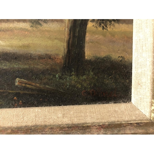 123 - 20th Century Woodland Scene, oil on board, signed indistinctly lower right, 30 x 40 cm, framed