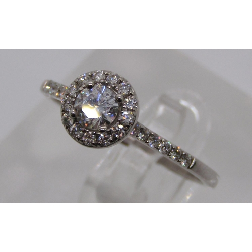 1320 - 18ct white gold diamond halo cluster ring, centre stone 0.25ct approx, size O/P, 2.6g